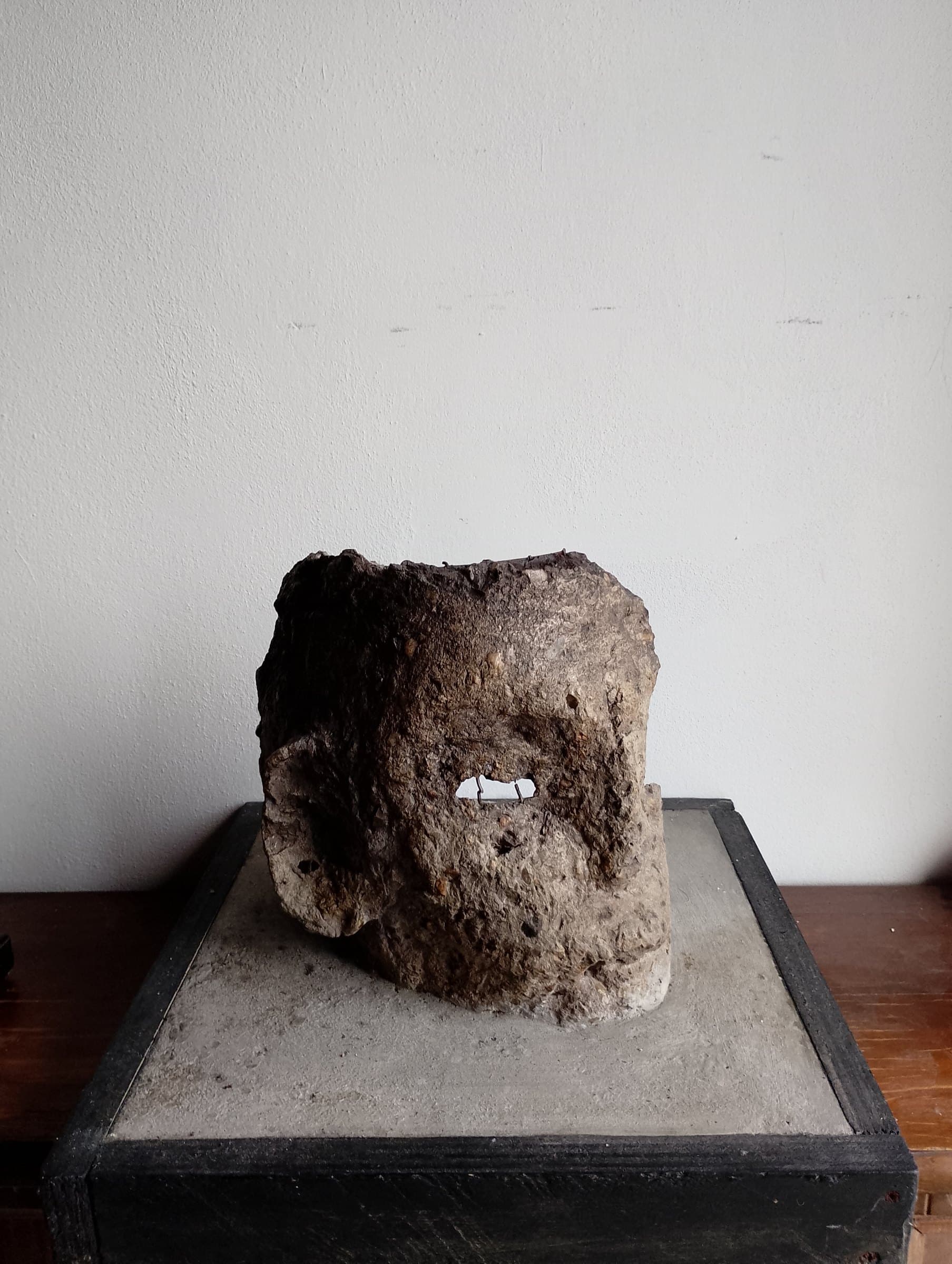 Testa, Cemento e legno rete metallica, 34x 34x26x22, di Basil